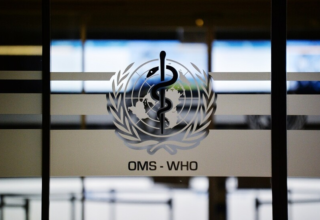 wp header logo1769112046872051816