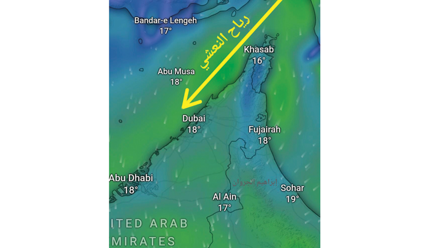 wp header logo1769115612744203384