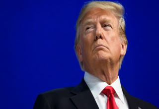 wp header logo17691156271428582282