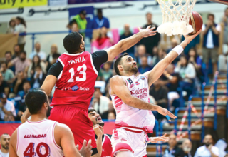 wp header logo17691300091741583992