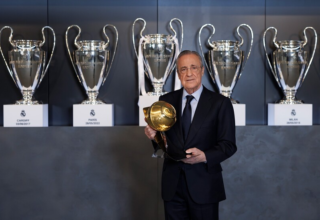 wp header logo1769144409178740319