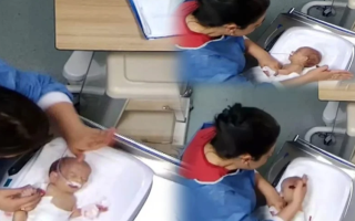 wp header logo17691444112051930580