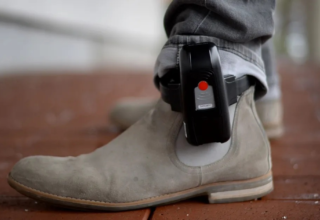 wp header logo17691444261832015261