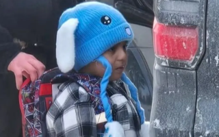 wp header logo17691480091552635983