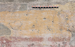 wp header logo1769148011162442119