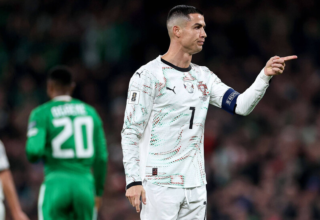 wp header logo1769155222152074419