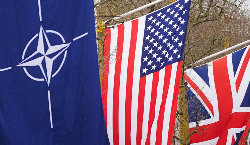 wp header logo17691732321821615791