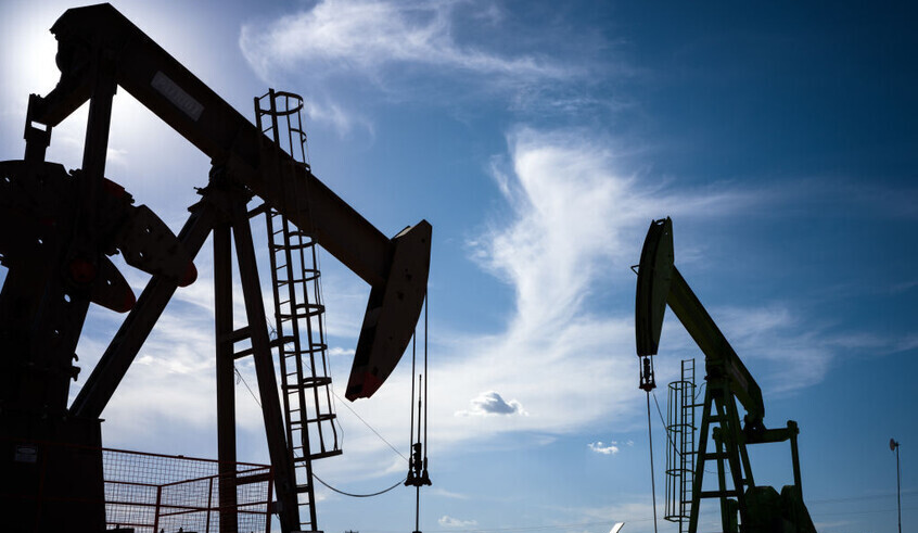 wp header logo17691876111885051271