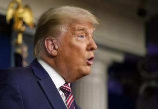 wp header logo176920200885656535