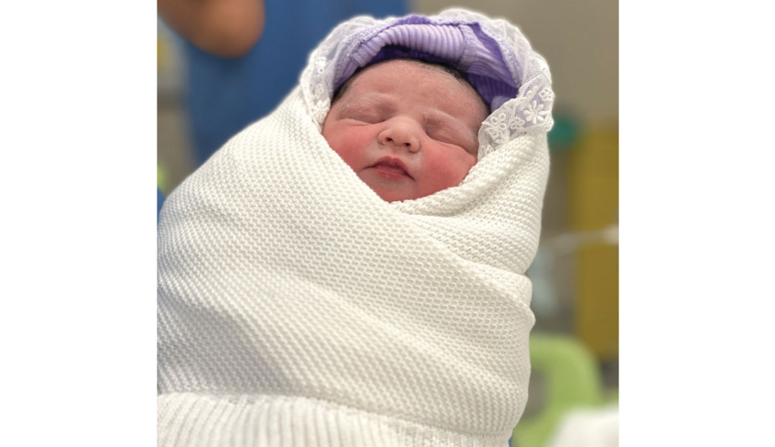 wp header logo1769202051561315310