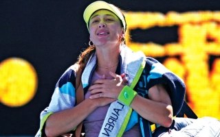 wp header logo1769216415565517751