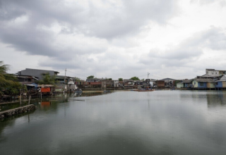 wp header logo1769238020545981977