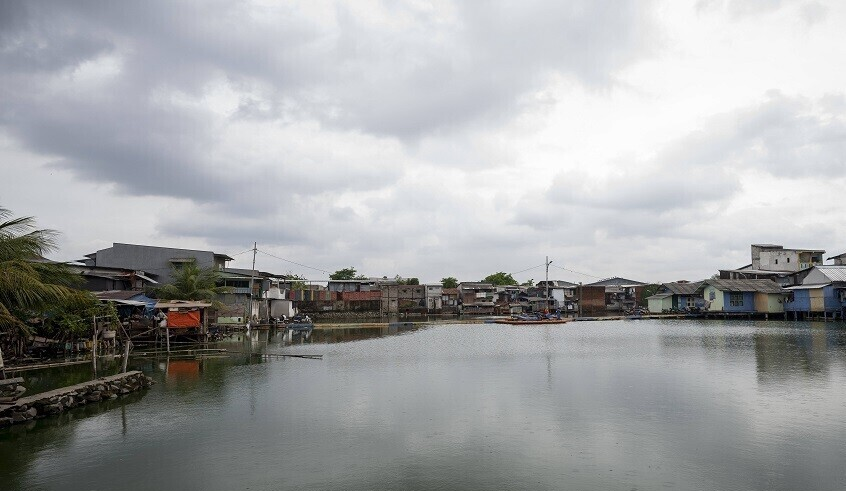 wp header logo1769238020545981977