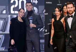 wp header logo1769248826533224541