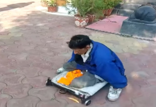 wp header logo17692596071751931707