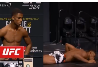 wp header logo1769259608889479319