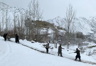 wp header logo176926680794180357