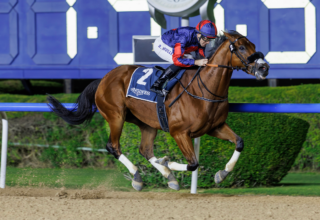 wp header logo17692668082091105704