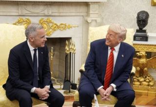 wp header logo176927046477473678