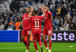 wp header logo176927400987878293