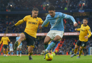 wp header logo17692776111010951157