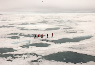 wp header logo17692884411225745985