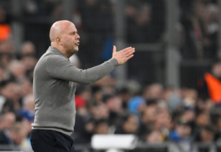 wp header logo17692956191629905614