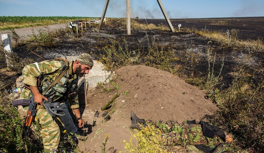 wp header logo17693028181034754765