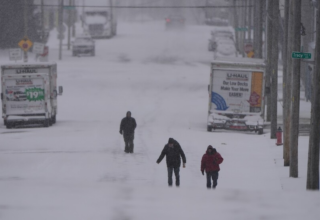 wp header logo1769349639875061183