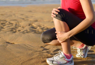 wp header logo1769353214101761125