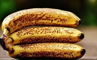 wp header logo17693568071704900967