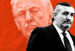 wp header logo17693568211608897428