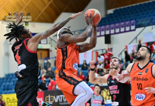 wp header logo17693640071647100392