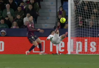 wp header logo17693784201282259503