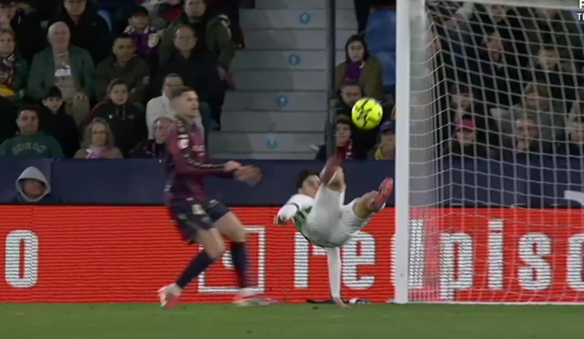 wp header logo17693784201282259503