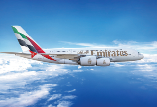 wp header logo17693892101008406281