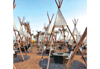 wp header logo17693892301618149266