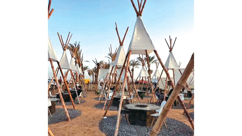 wp header logo17693892301618149266