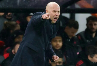 wp header logo17694144172086248744