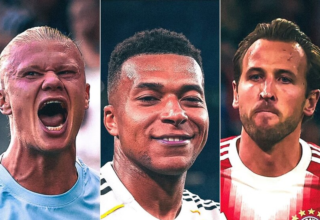 wp header logo17694252081915312975