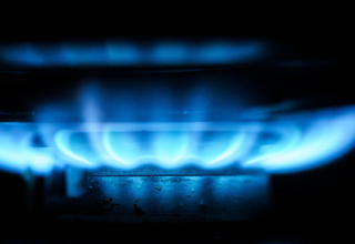 wp header logo17694252081989261596