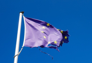 wp header logo17694252511903710975