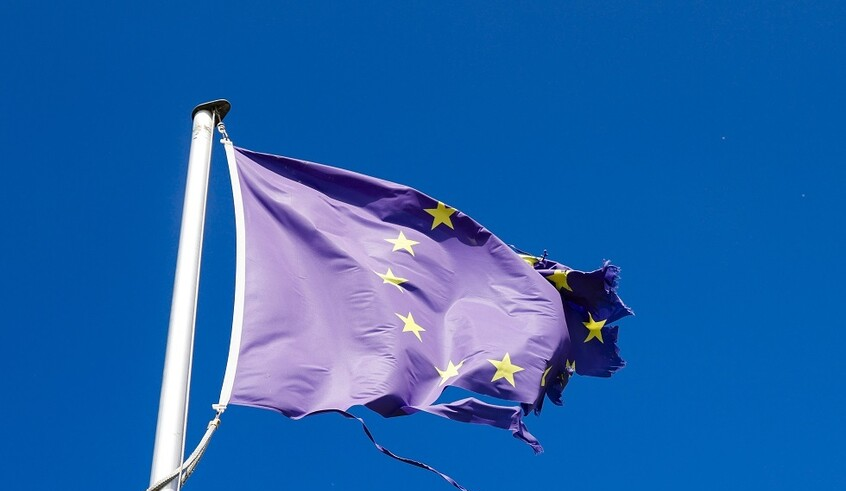 wp header logo17694252511903710975