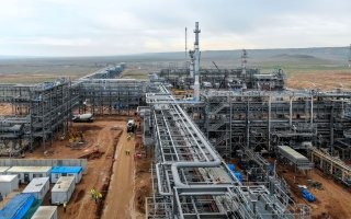 wp header logo17694324221003048051