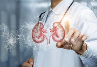 wp header logo17694432131340439695