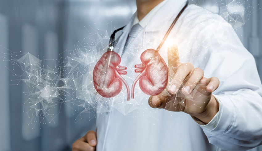 wp header logo17694432131340439695