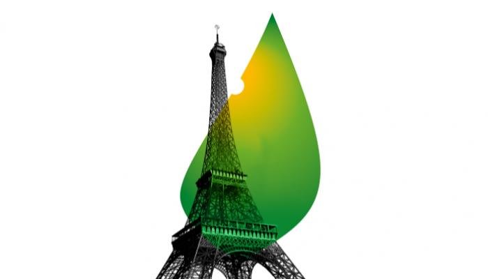 wp header logo1769497207487569072