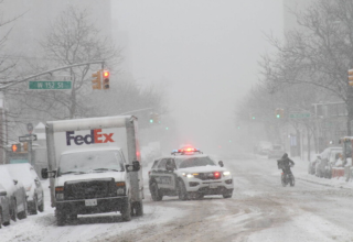 wp header logo17695008271941559180