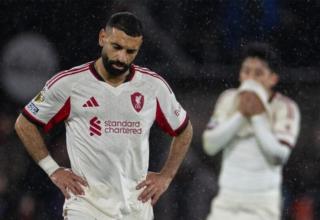 wp header logo176950083763429651