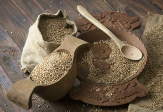 wp header logo1769511611789480233